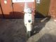 Boatian Monza BT125T - 21